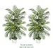 TWO 4' Artificial Areca Palm Trees, with No Pot,