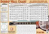 Mel Bay Dobro Wall Chart