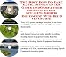 The Best How To Earn Extra Money, Inner Game and Godfather Principles for Sculling Sports Equipment Web Biz 3 CD Course