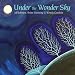Under The Wonder Sky