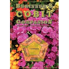 Beginner's Cobit Companion
