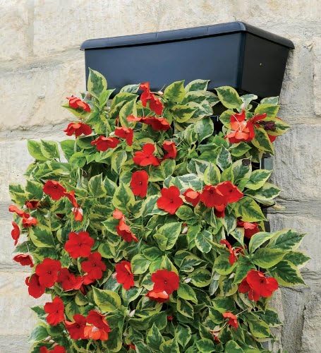 VertiGardenTM Wall Planter with Metal Frame and Brackets