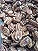 Certified Organic Sprouted Sea Salt Texas Papershell Pecans, 2 Lb. Family Orchard Grown