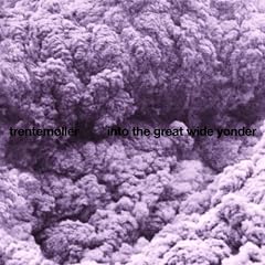 Into the Great Wide Yonder [Vinyl LP]