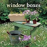 Window boxes