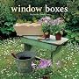 Window Boxes