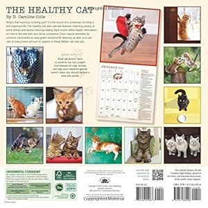 The Healthy Cat 2016 Wall Calendar