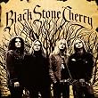 Black Stone Cherry