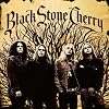 Black Stone Cherry