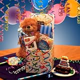 Birthday Surprise Care Gourmet Gift Package Basket