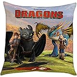 Drachenzähmen leicht gemacht II Kissen Hicks & Astrid