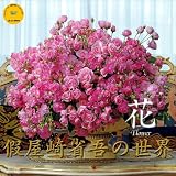 2010假屋崎省吾の世界 花(Yama-Kei Calendar)