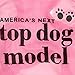Ollypet America's Next Top Dog Model Cotton Dog Shirt Pet Vest Pink S