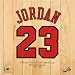 Chicago Bulls Michael Jordan Chicago Bulls Jersey Number Game-Used Floor Display