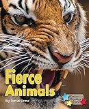 Fierce animals