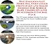 Search : The Insider's Get More Biz, Godfather Principles and Sales Models for Mobile Baby Chairs On-line Businesses 3 Course Pack