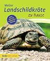 Meine Landschildkr&ouml;te zu Hause