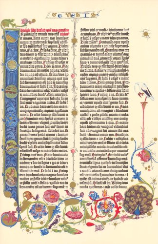 Gutenberg Bible: Genesis
