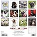 2016 Pug Mugs Wall Calendar