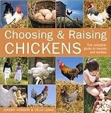Choosing and Raising Chickens: The Complete Guide to Breeds and Welfare
