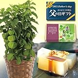 �y���̓��M�t�g�z�ق������Ƌg��̊��݂̃Z�b�g�y����6/13-6/16���������z