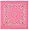 Dozen-Pink Paisley