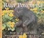 Baby Porcupine (Nature Babies)