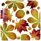Caspari Set of 2 Golden Chestnut Paper Dinner Plate Package, Ivory