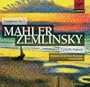 Symphony 3 D Minor / Lyric Symphony Op 18