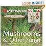 Mushrooms and Other Fungi (Identification Guides)