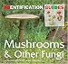 Mushrooms and Other Fungi (Identification Guides)