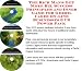 The Rich Man's Get More Biz, Success Principles and Inner Game for Gerbil Cages On-line Businesses 3 CD Power Pack