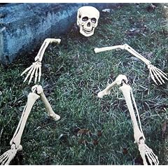 Skelett Teile Totenkopf Halloween Au�endeko Rasen Beet