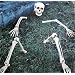Skelett Teile Totenkopf Halloween Au�endeko Rasen Beet