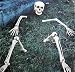 Skelett Teile Totenkopf Halloween Außendeko Rasen Beet