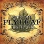 Flyleaf String Tribute
