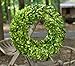 Flora Decor Preserved Boxwood Wreath Round 16