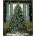 7.5' Downswept Hunter Fir Pre-Lit Artificial Christmas Tree - Clear Lights