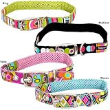 Tepper Jackson Dog Collars