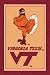 Virginia Tech Hokies "Vertical" 7' 8" x 10' 9" Team Spirit Area Rug