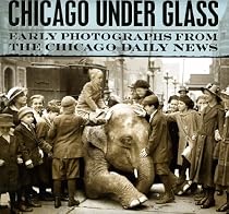 Chicago under Glass: Early Photographs from the Chicago Daily News