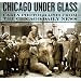 Chicago under Glass: Early Photographs from the Chicago Daily News