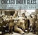 Chicago under Glass: Early Photographs from the Chicago Daily News