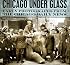 Chicago under Glass: Early Photographs from the Chicago Daily News