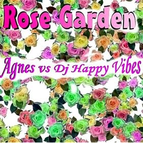 (I Never Promised You A) Rose Garden (DJ Happy Vibes Extended)
