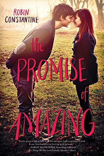 The Promise of Amazing, by Robin Constantine