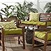 Greendale Home Fashions Indoor/Outdoor Chair Cushions, Kiwi Green, 20-Inch, Set of 2