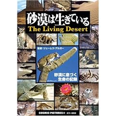 �����͐����Ă��� [DVD]