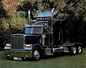 Black Semi Peterbilt on Grass Turf Art Print POSTER OOP - 20" x 16"