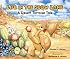 Life in the Slow Lane: A Desert Tortoise Tale